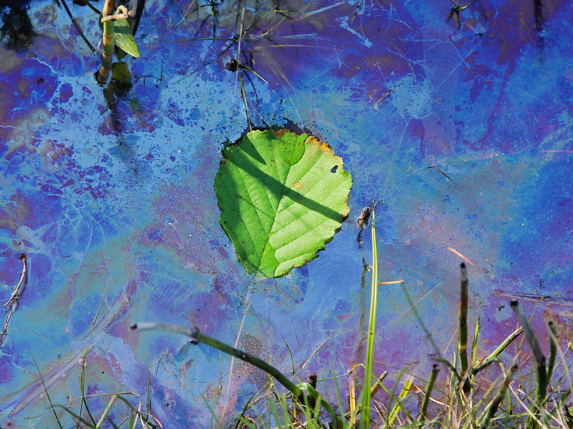 Не пей, козленочком станешь